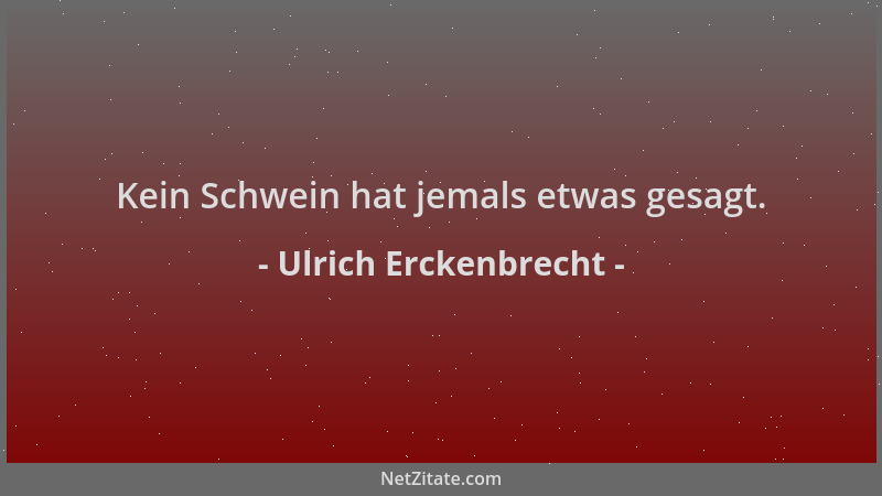 Ulrich Erckenbrecht - Kein Schwein hat jemals etwas gesagt....