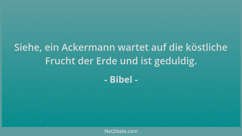 Bibel - Siehe, ein Ackermann wartet auf die köstliche Frucht der Erde und ist geduldig....