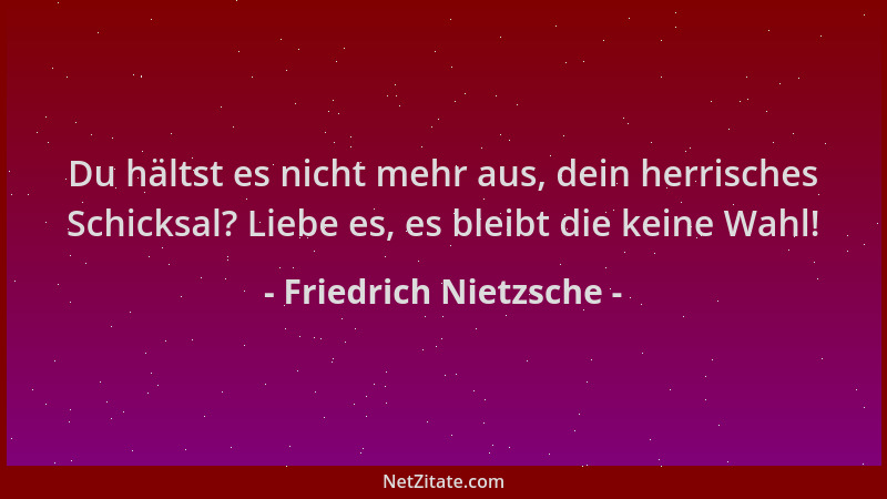 Friedrich Nietzsche - Du hältst es nicht mehr aus, dein herrisches Schicksal? Liebe es, es bleibt die keine Wahl!...