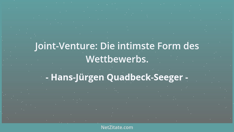 Hans-Jürgen Quadbeck-Seeger - Joint-Venture: Die intimste Form des Wettbewerbs....
