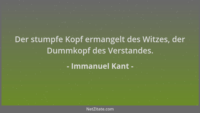 Immanuel Kant - Der stumpfe Kopf ermangelt des Witzes, der Dummkopf des Verstandes....
