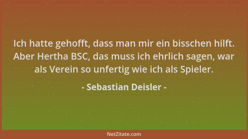 Sebastian Deisler - Ich hatte gehofft, dass man mir ein bisschen hilft. Aber Hertha BSC, das muss ich ehrlich sagen, war al...