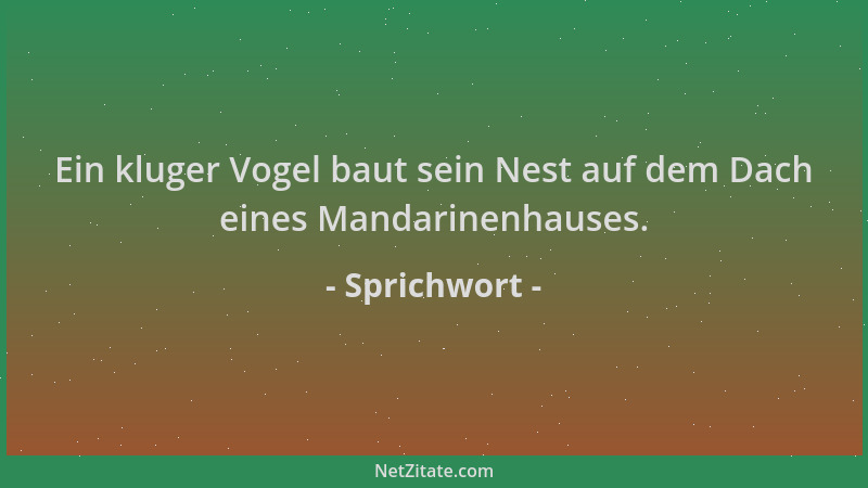 Sprichwort - Ein kluger Vogel baut sein Nest auf dem Dach eines Mandarinenhauses....