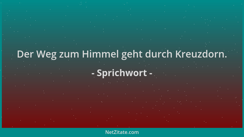 Sprichwort - Der Weg zum Himmel geht durch Kreuzdorn....