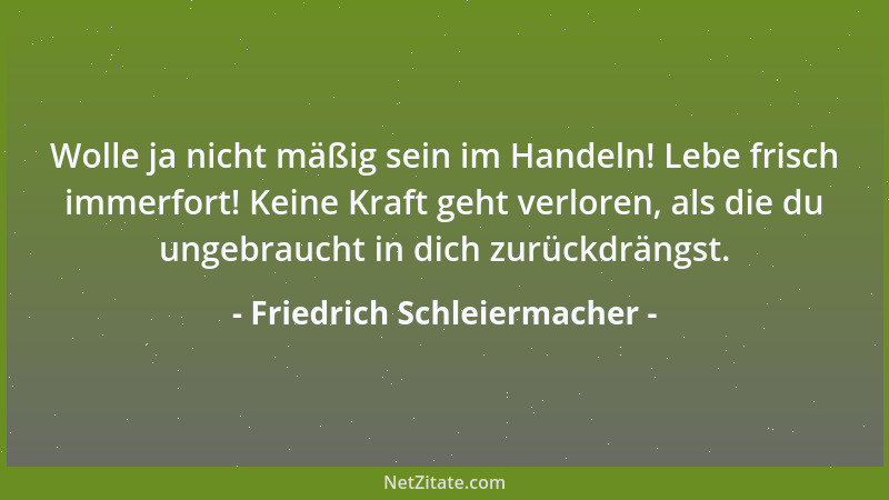 Friedrich Schleiermacher - Sie [die Kinder] sind auch ein unmittelbarer Segen für das Haus, sie geben leicht eben so viel,...