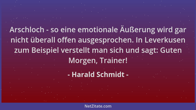 Harald Schmidt - Arschloch - so eine emotionale Äußerung wird gar nicht überall offen ausgesprochen. In Leverkusen zum Beis...