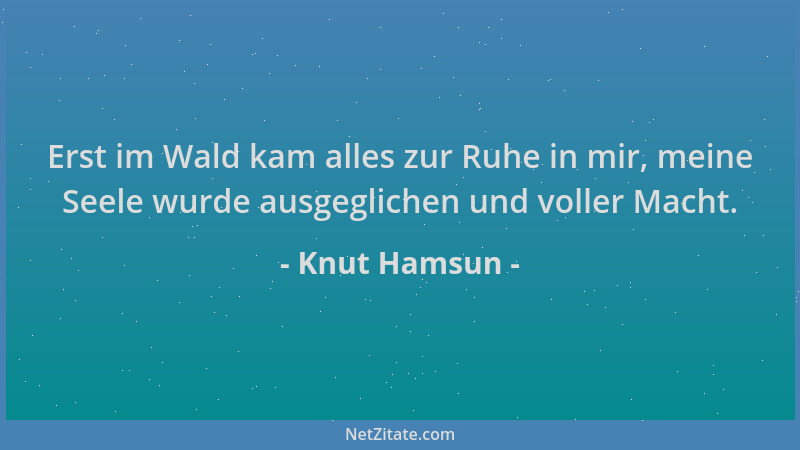 Knut Hamsun - Erst im Wald kam alles zur Ruhe in mir, meine Seele wurde ausgeglichen und voller Macht....