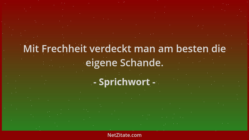 Sprichwort - Mit Frechheit verdeckt man am besten die eigene Schande....