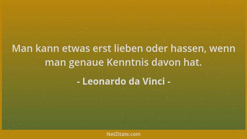 Leonardo da Vinci - Man kann etwas erst lieben oder hassen, wenn man genaue Kenntnis davon hat....