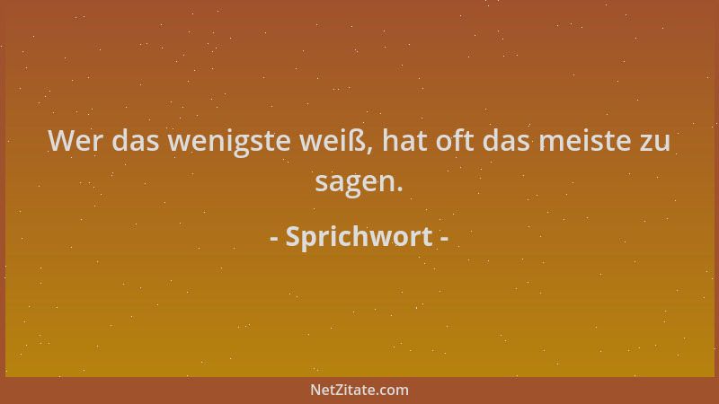 Sprichwort - Wer das wenigste weiß, hat oft das meiste zu sagen....