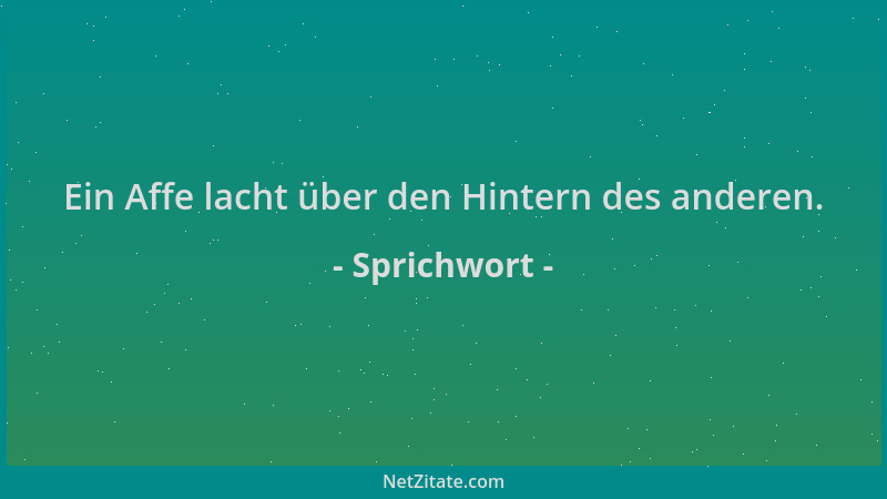 Sprichwort - Ein Affe lacht über den Hintern des anderen....