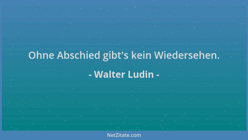 Walter Ludin - Ohne Abschied gibt 's kein Wiedersehen....