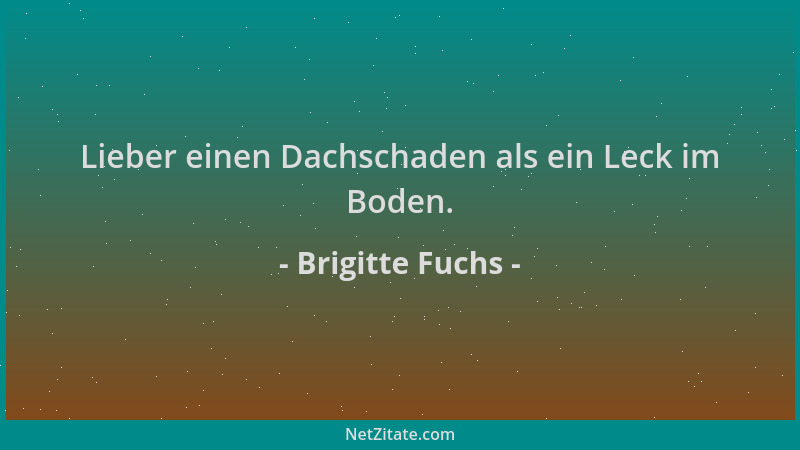 Brigitte Fuchs - Lieber einen Dachschaden als ein Leck im Boden....