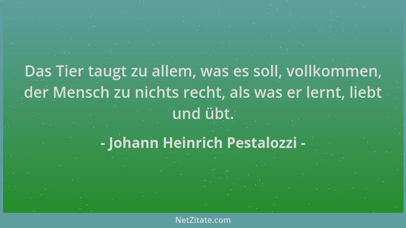 Johann Heinrich Pestalozzi - Das Tier taugt zu allem, was es soll, vollkommen, der Mensch zu nichts recht, als was er lernt...