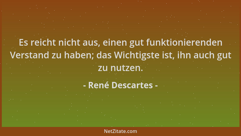 René Descartes - Es reicht nicht aus, einen gut funktionierenden Verstand zu haben; das Wichtigste ist, ihn auch gut zu nut...