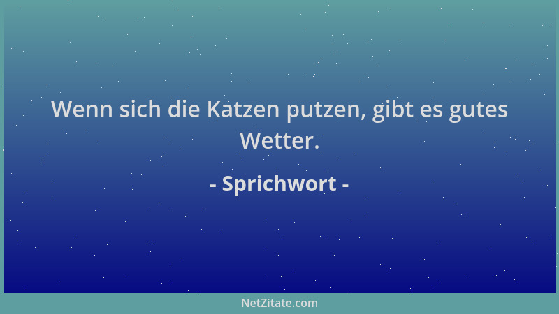 Sprichwort - Wenn sich die Katzen putzen, gibt es gutes Wetter....