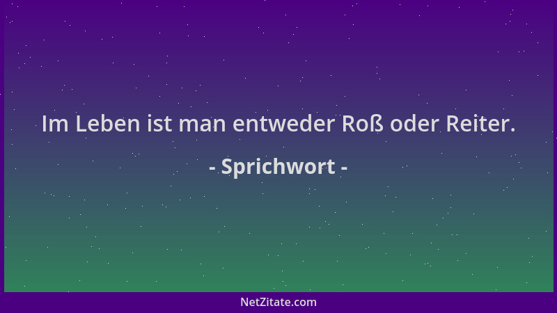 Sprichwort - Im Leben ist man entweder Roß oder Reiter....