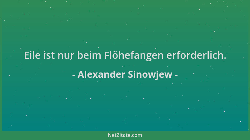 Alexander Sinowjew - Eile ist nur beim Flöhefangen erforderlich....