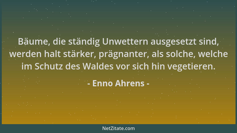 Enno Ahrens - Bäume, die ständig Unwettern ausgesetzt sind, werden halt stärker, prägnanter, als solche, welche im Schutz d...