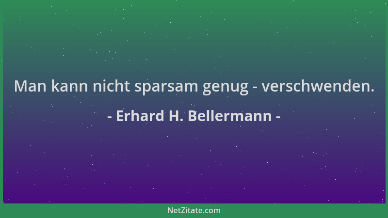Erhard H. Bellermann - Man kann nicht sparsam genug - verschwenden....