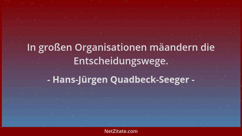 Hans-Jürgen Quadbeck-Seeger - In großen Organisationen mäandern die Entscheidungswege....