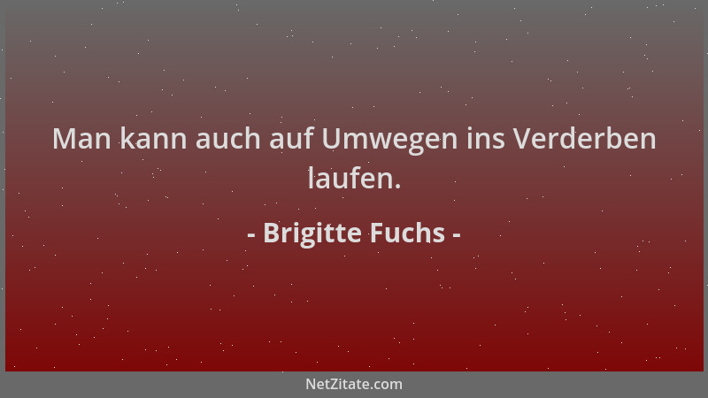 Brigitte Fuchs - Man kann auch auf Umwegen ins Verderben laufen....