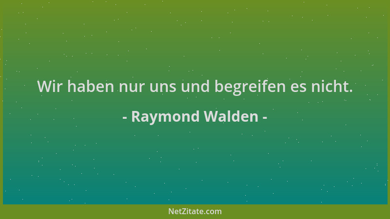 Raymond Walden - Wir haben nur uns und begreifen es nicht....
