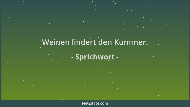 Sprichwort - Weinen lindert den Kummer....