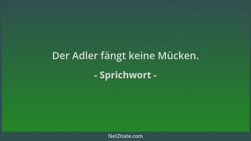 Sprichwort - Der Adler fängt keine Mücken....