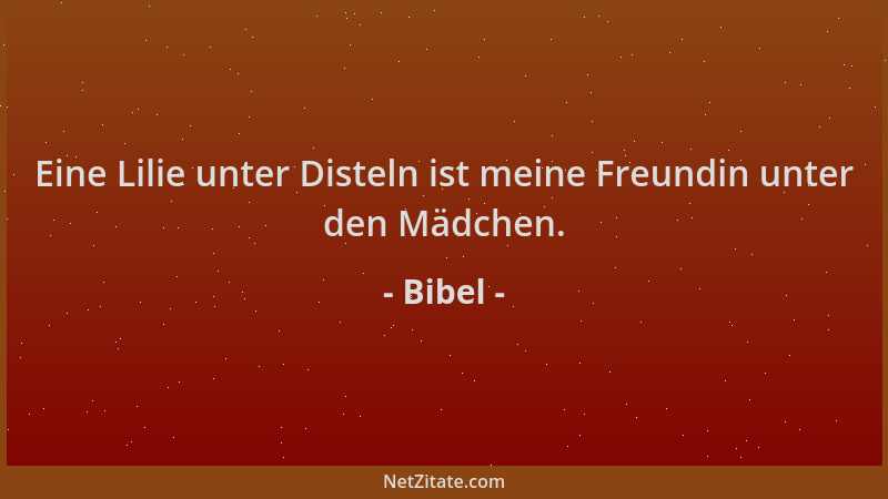 Bibel - Eine Lilie unter Disteln ist meine Freundin unter den Mädchen....