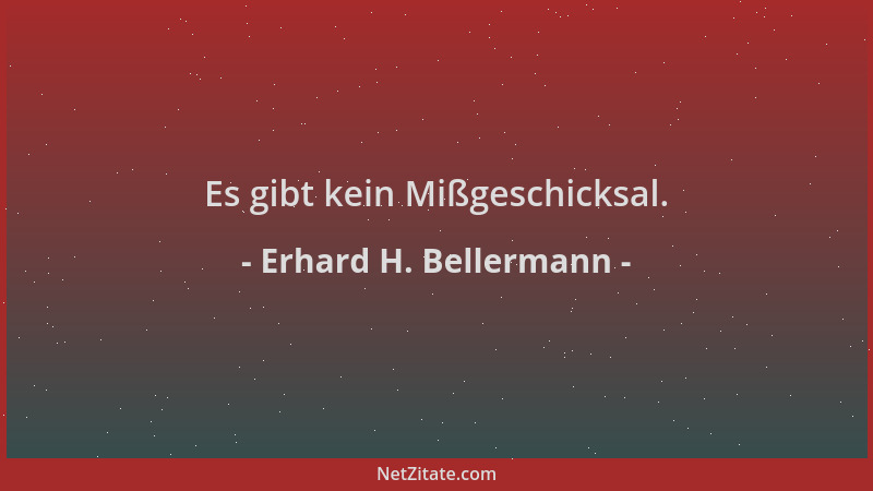 Erhard H. Bellermann - Es gibt kein Mißgeschicksal....