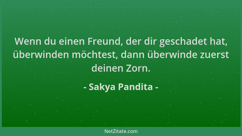 Sakya Pandita - Wenn du einen Freund, der dir geschadet hat, überwinden möchtest, dann überwinde zuerst deinen Zorn....