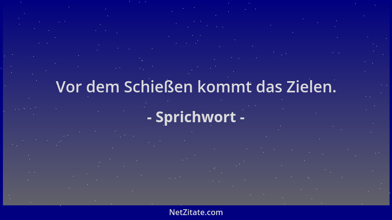 Sprichwort - Vor dem Schießen kommt das Zielen....