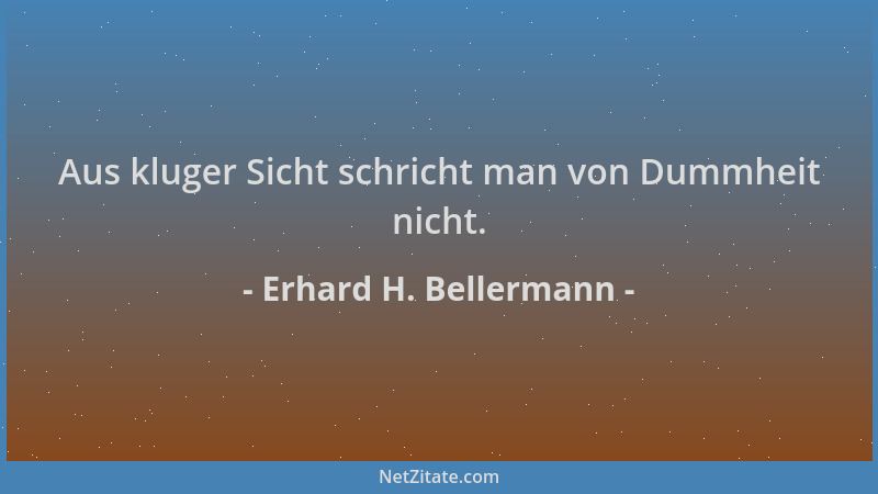 Erhard H. Bellermann - Aus kluger Sicht schricht man von Dummheit nicht....
