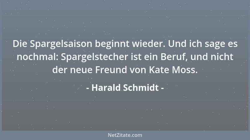 Harald Schmidt - Die Spargelsaison beginnt wieder. Und ich sage es nochmal: Spargelstecher ist ein Beruf, und nicht der neu...