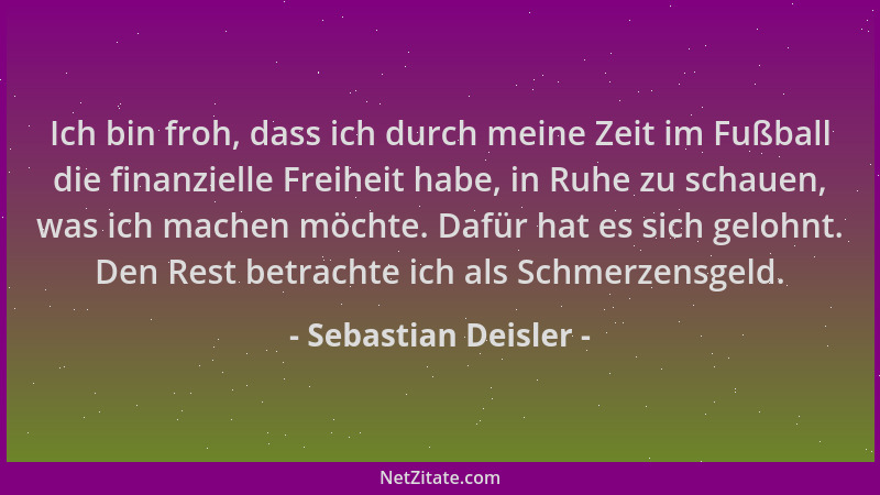 Sebastian Deisler - Ich bin froh, dass ich durch meine Zeit im Fußball die finanzielle Freiheit habe, in Ruhe zu schauen, w...
