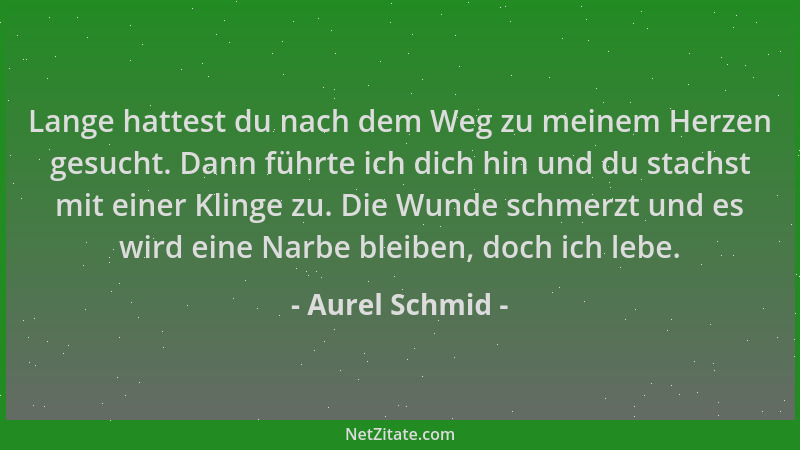 Aurel Schmid - Lange hattest du nach dem Weg zu meinem Herzen gesucht. Dann führte ich dich hin und du stachst mit einer Kl...