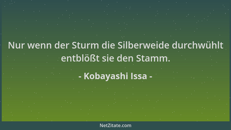 Kobayashi Issa - Nur wenn der Sturm die Silberweide durchwühlt entblößt sie den Stamm....