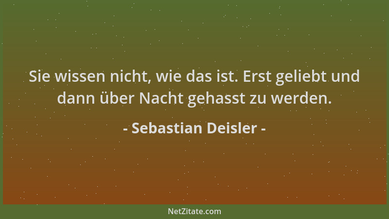 Sebastian Deisler - Sie wissen nicht, wie das ist. Erst geliebt und dann über Nacht gehasst zu werden....