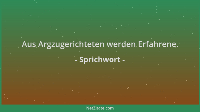 Sprichwort - Aus Argzugerichteten werden Erfahrene....